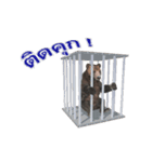 Grizzly Bear for Play Stock（個別スタンプ：22）