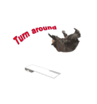 Grizzly Bear for Play Stock（個別スタンプ：24）