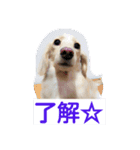 もも 2017 その1（個別スタンプ：1）