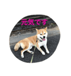 きゅーとなあいさつ（個別スタンプ：7）