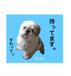 けいちゃんの日常（個別スタンプ：5）