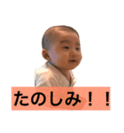 おチビちゃんの日常（個別スタンプ：15）
