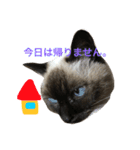 我が家のさぶちゃん（個別スタンプ：12）