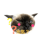我が家のさぶちゃん（個別スタンプ：32）