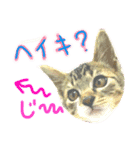 にゃんのあるある（個別スタンプ：8）