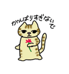 ねこ部庶務課（個別スタンプ：27）