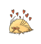 Echinoid series 2: Heart urchins（個別スタンプ：4）