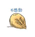 Echinoid series 2: Heart urchins（個別スタンプ：22）