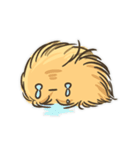 Echinoid series 2: Heart urchins（個別スタンプ：23）