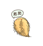 Echinoid series 2: Heart urchins（個別スタンプ：24）
