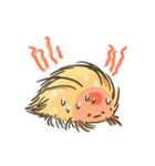 Echinoid series 2: Heart urchins（個別スタンプ：32）