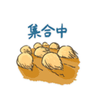 Echinoid series 2: Heart urchins（個別スタンプ：34）