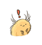 Echinoid series 2: Heart urchins（個別スタンプ：36）