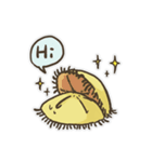 Echinoid series 1: Sand dollars（個別スタンプ：1）