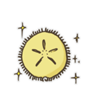 Echinoid series 1: Sand dollars（個別スタンプ：2）