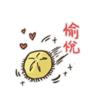 Echinoid series 1: Sand dollars（個別スタンプ：3）