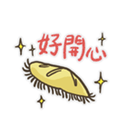 Echinoid series 1: Sand dollars（個別スタンプ：4）