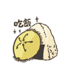 Echinoid series 1: Sand dollars（個別スタンプ：10）
