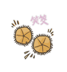 Echinoid series 1: Sand dollars（個別スタンプ：13）