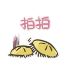 Echinoid series 1: Sand dollars（個別スタンプ：17）