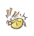 Echinoid series 1: Sand dollars（個別スタンプ：20）