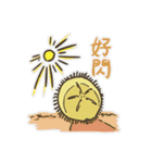 Echinoid series 1: Sand dollars（個別スタンプ：21）