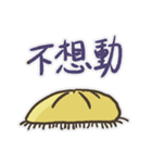 Echinoid series 1: Sand dollars（個別スタンプ：23）
