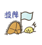 Echinoid series 1: Sand dollars（個別スタンプ：24）