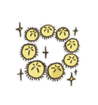 Echinoid series 1: Sand dollars（個別スタンプ：32）