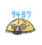 Echinoid series 1: Sand dollars（個別スタンプ：34）