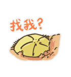 Echinoid series 1: Sand dollars（個別スタンプ：35）