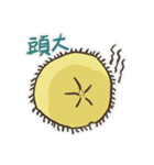 Echinoid series 1: Sand dollars（個別スタンプ：36）