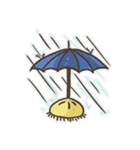 Echinoid series 1: Sand dollars（個別スタンプ：39）