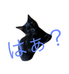 地味に使えます(๑′ᴗ‵๑)（個別スタンプ：1）