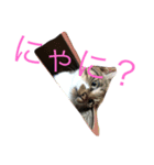 地味に使えます(๑′ᴗ‵๑)（個別スタンプ：7）