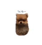 POPONN..（個別スタンプ：7）