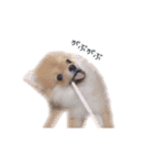 POPONN..（個別スタンプ：9）