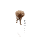 POPONN..（個別スタンプ：13）