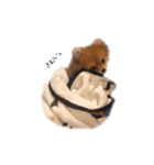 POPONN..（個別スタンプ：21）