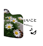 smilly life（個別スタンプ：9）