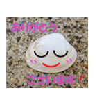 貝がらさん（日本語）（個別スタンプ：1）