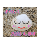 貝がらさん（日本語）（個別スタンプ：2）