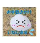 貝がらさん（日本語）（個別スタンプ：4）