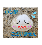 貝がらさん（日本語）（個別スタンプ：6）