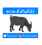 Do not eat alot.（個別スタンプ：2）