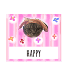 田中さん家の猫（個別スタンプ：8）