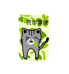 Teeth cat3（個別スタンプ：15）