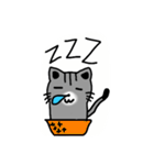 Teeth cat3（個別スタンプ：16）