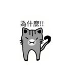 Teeth cat3（個別スタンプ：19）