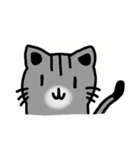 Teeth cat3（個別スタンプ：29）